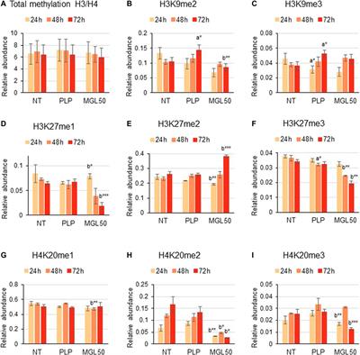 A Key Silencing Histone Mark on Chromatin Is Lost When Colorectal Adenocarcinoma Cells Are Depleted of Methionine by Methionine γ-Lyase